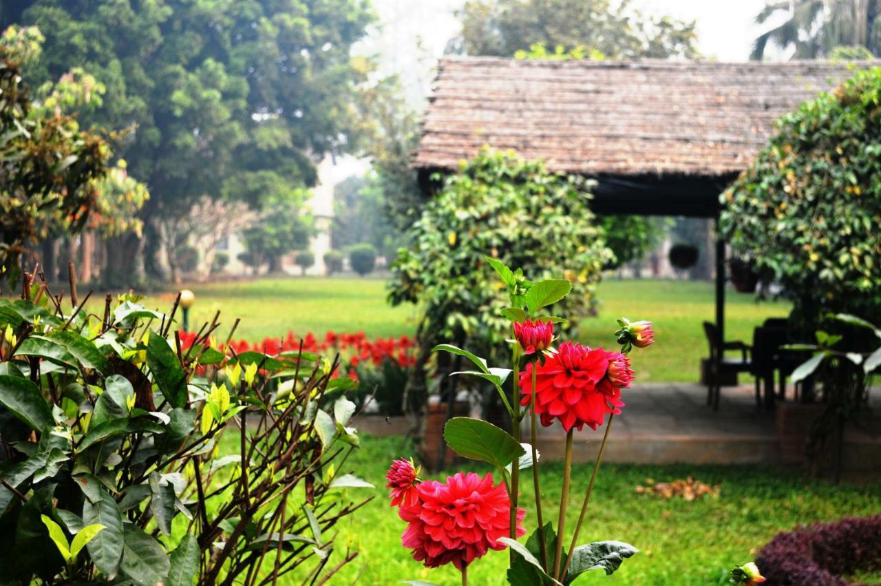 Chitwan Paradise Hotel Саураха Экстерьер фото